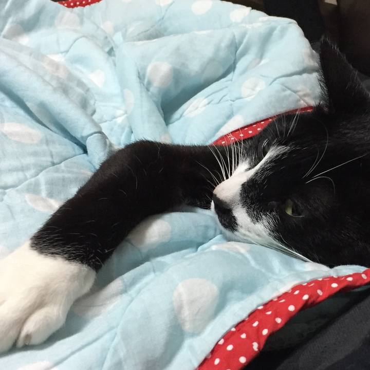 C84fc196 a259 42f0 80c7 98010138dece 1526467329425