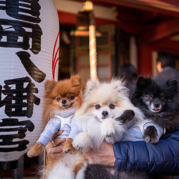 C84ff7eb adda 445c 8b4e 8d82e84effeb 1578574956692