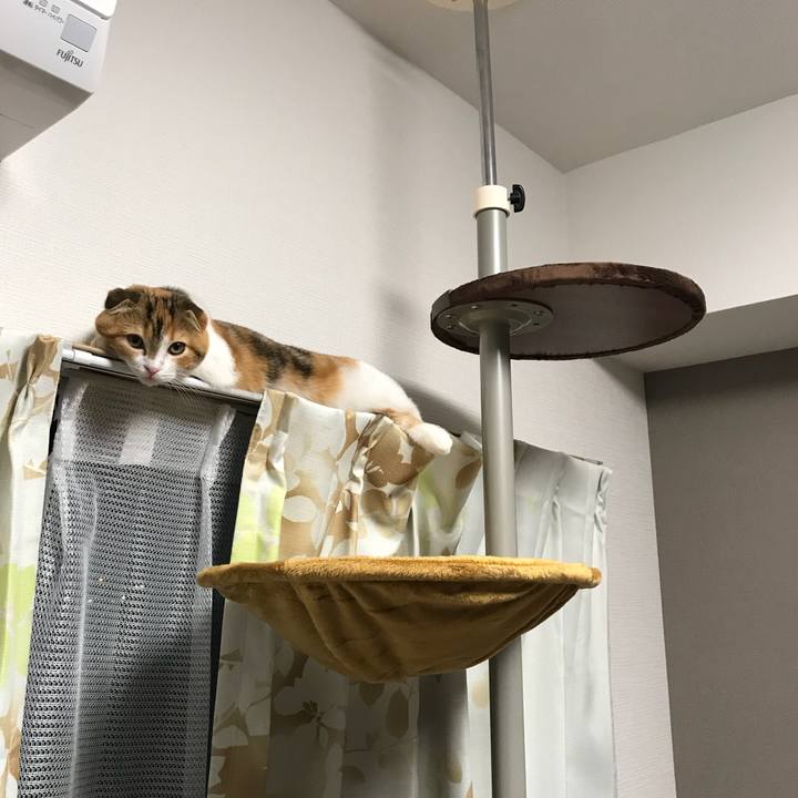 C8500c0c 500b 4399 b197 0929badfb711 1510128268037