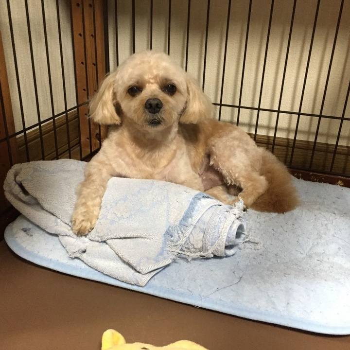 C8501fab 381c 4c11 8195 d99d220dacf4 1569149666094