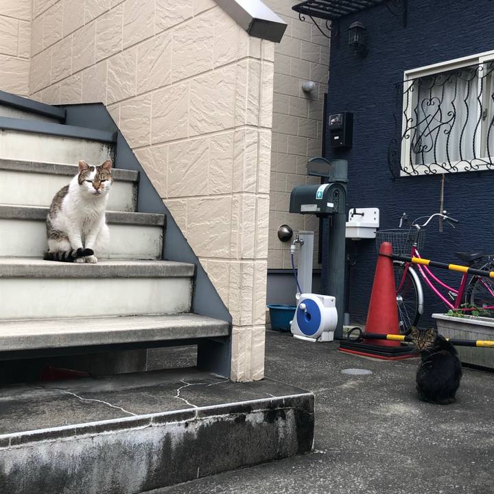 C85030de 29b1 44e7 b752 eef83205583a 1572730081887