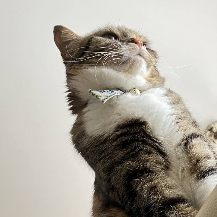 C8507071 40ac 47e5 8c02 744018d13a09 1765159664773