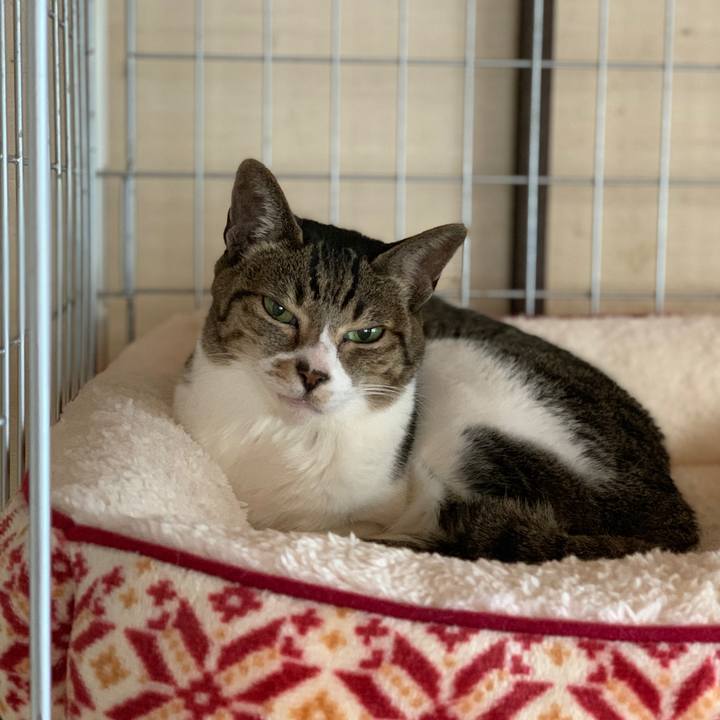 C8507af6 b254 47bf be50 087ad7ade7f6 1579568662682