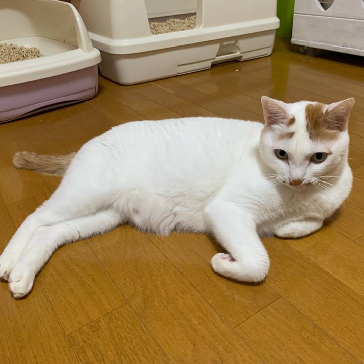 C8508051 4bc4 45e5 8b77 0c689f59d2da 1639480859531