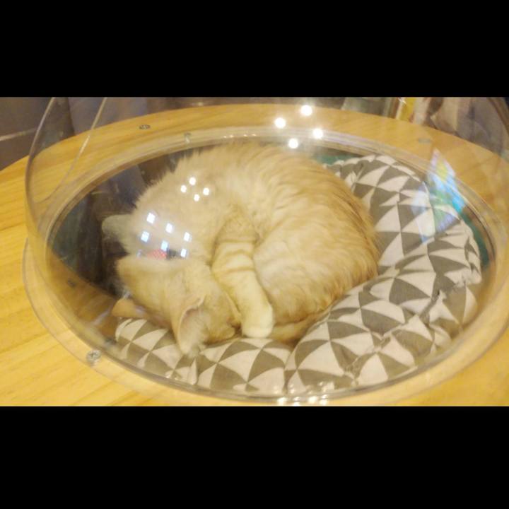 C850824e a632 43c7 bc15 60389b324caf 1606861232771