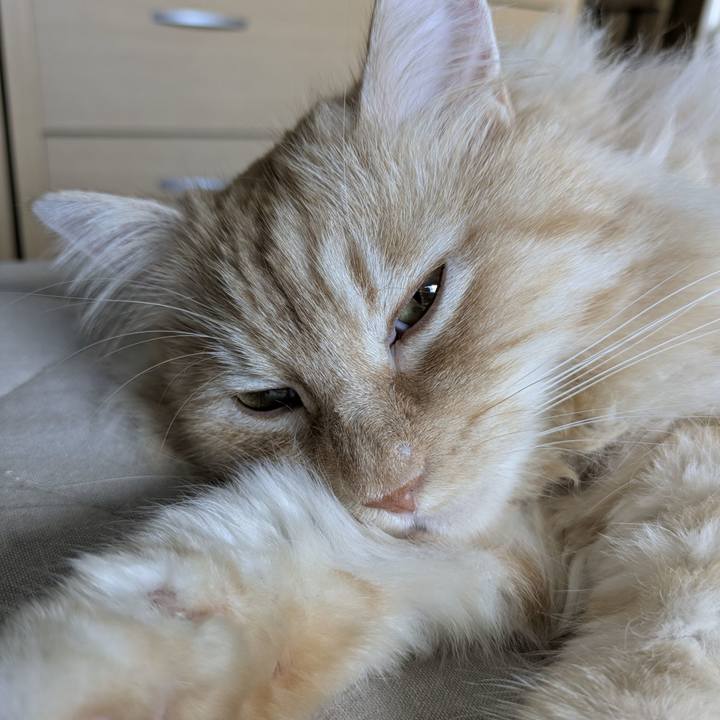 C850956f 26a6 48ce 81ed edd0c36c6bc2 1753833779513