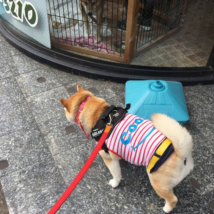 C850d0ad baf7 41cd b352 aa27a9ed3b0b 1582951543225