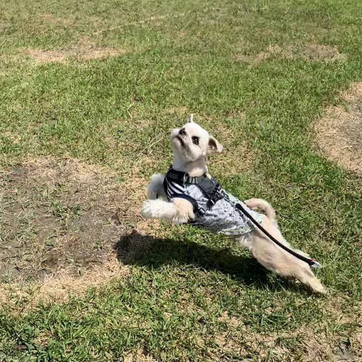 C8511f19 aeb2 4d3e 96ae 5f55402889bf 1587555719814