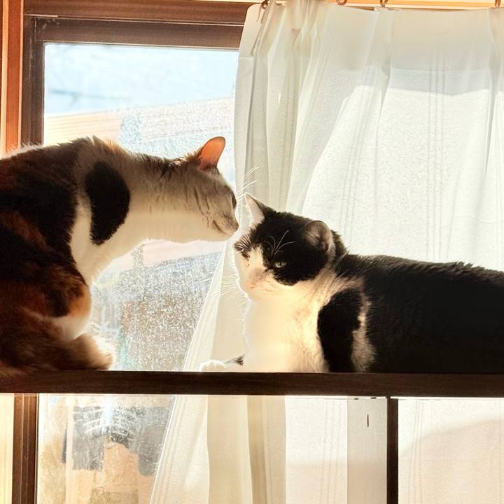 C8517833 d622 434e 8edb 3dfbfcf7e070 1771555810775