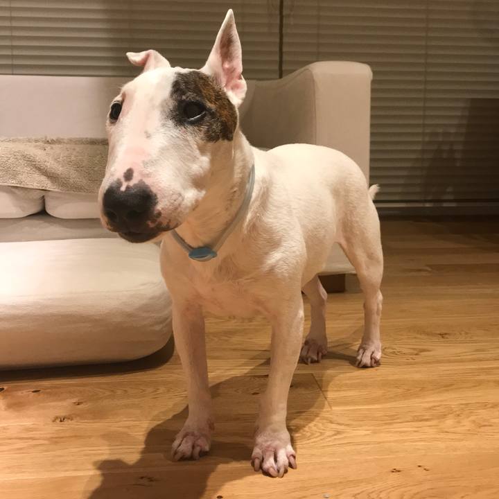 C8517ad4 8176 4027 ab4d 9c889e1df097 1569319216086