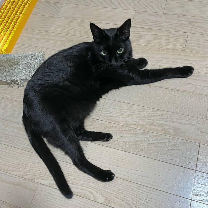 C851aa4c 98cd 4ef8 bce4 abd21fe0f7bf 1732270259208