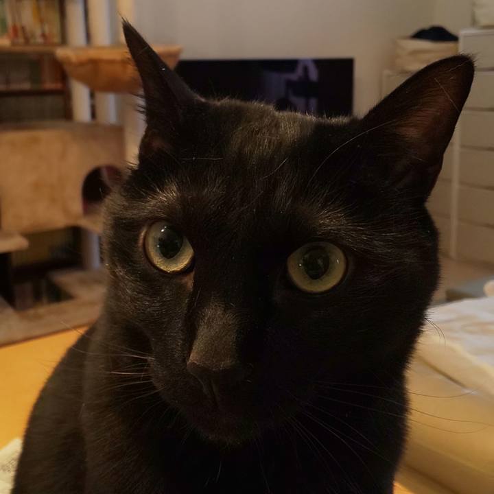 C8521762 e32f 497c 90bd 03837379d89f 1651540579577