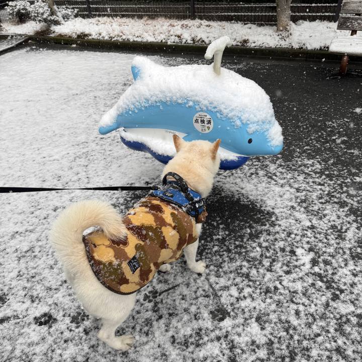 C8522886 6c57 4abf b820 16934169ce88 1770514787454