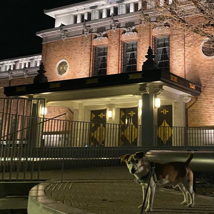 C8522efd 211a 4135 be04 e8bc12a86043 1678618475174