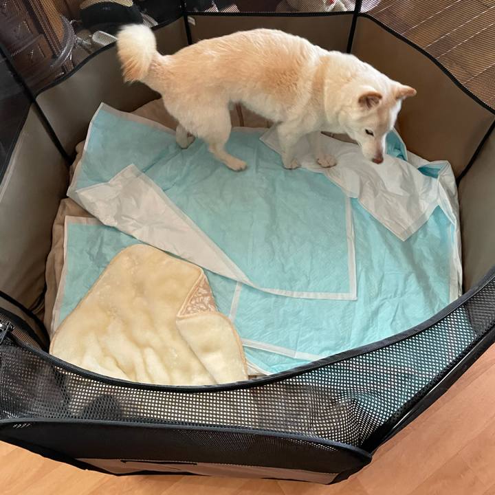 C85234bf c9eb 4662 8b37 d7baeec26213 1640786531323