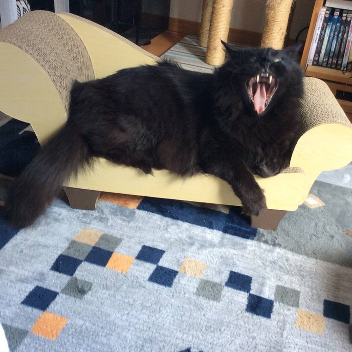 C8525588 fa82 418b bed0 26098ab263c9 1588222761302