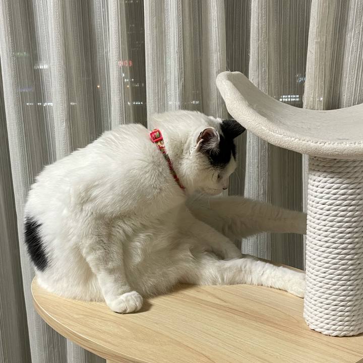 C8525cda df17 4108 ade3 b6b1c0ea78e4 1614598473200