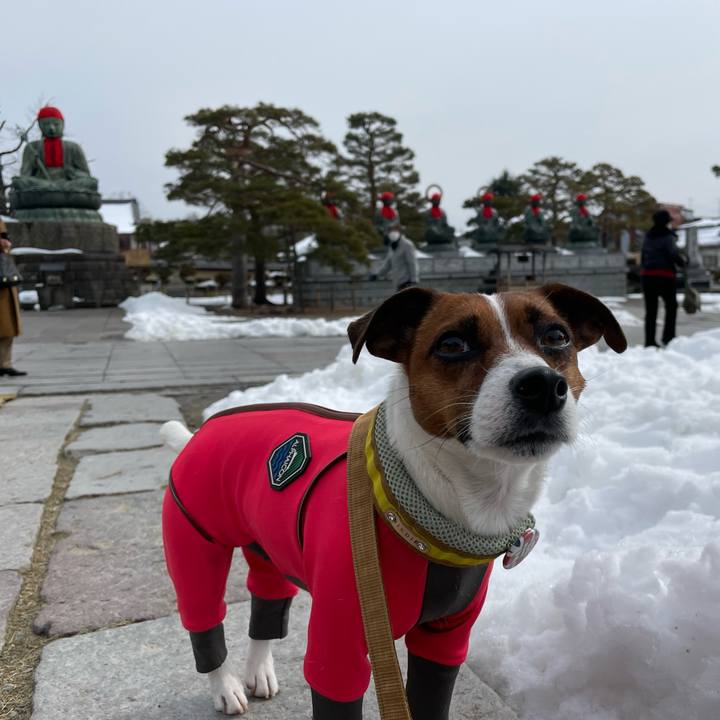 C8528c9f b6d5 4638 826c 5229155da1d2 1644730699615