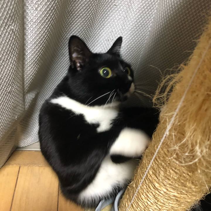 C852a6b9 6e44 4154 bebf 25e7492892c1 1551153146173