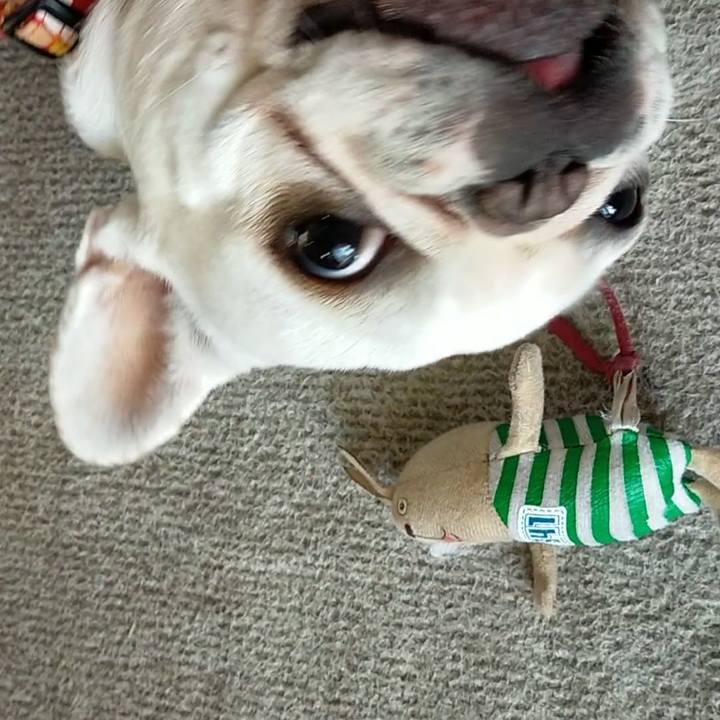 C852adc8 ebdf 4729 8140 cd24f796c66d 1637912010191