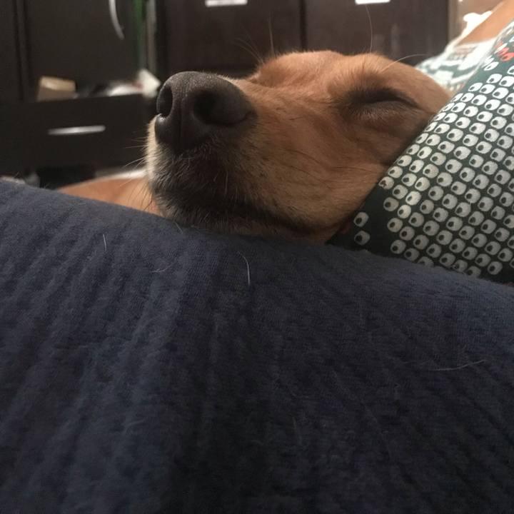 C852ba75 7c75 4636 b7b7 3bf082bab3db 1557612572571