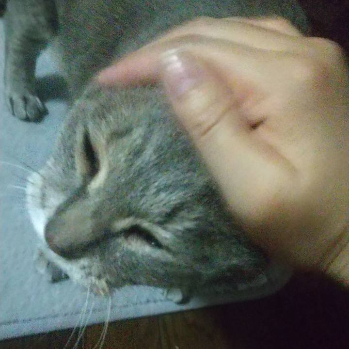 C852d98e b5bb 4433 9646 a59cb5d1794a 1625531019627