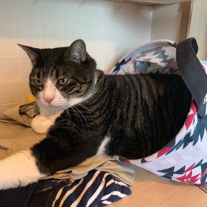 C852f22e 99f7 4240 952f 77e44e8e045b 1567233164005