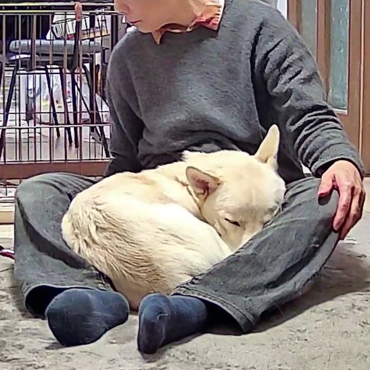 C852fdf9 c9a3 4cd8 8f68 4ed9085a89c4 1763532943503