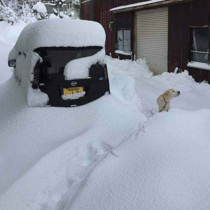 C853253d 4edd 4479 a088 3de81190a12a 1706356983623