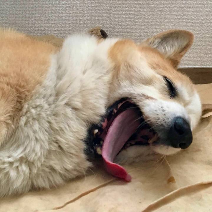 C8536103 b0a6 4846 85ac e47232fdc8ee 1679036408325