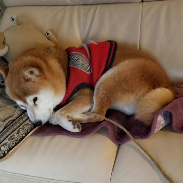 C853b17d 240f 43ba 9154 acece35ed583 1607473534726