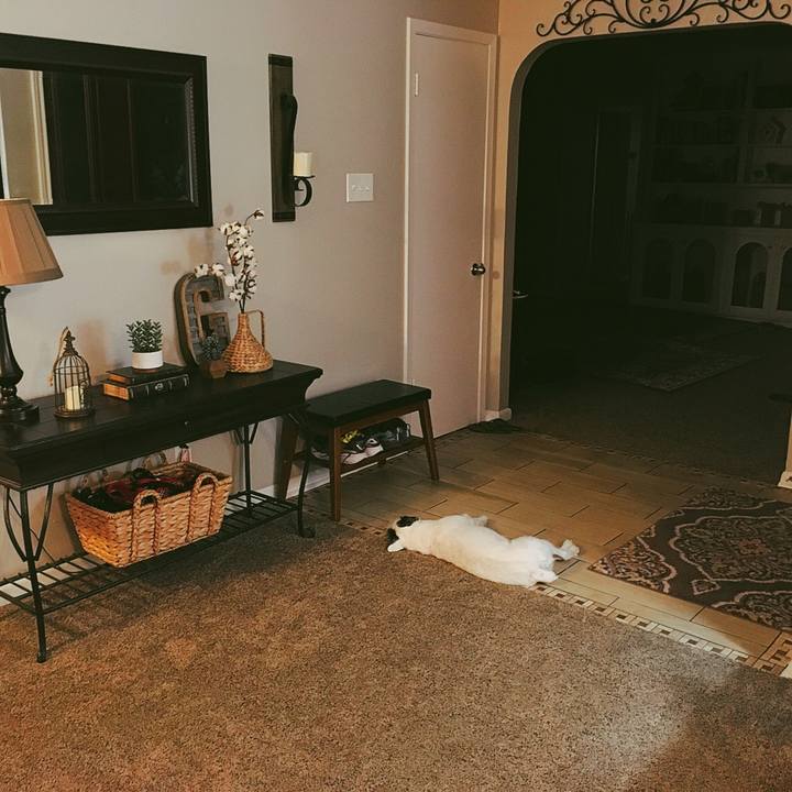 C853bbf2 a520 4467 9c05 c4d7183a5169 1531529252046