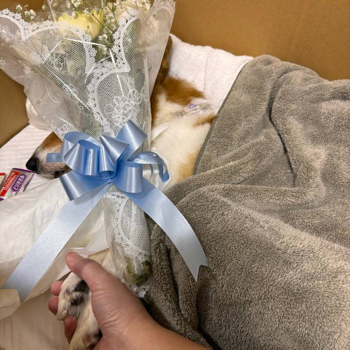 C853e3d1 fd93 4186 ae68 b2594f9460be 1759276506070