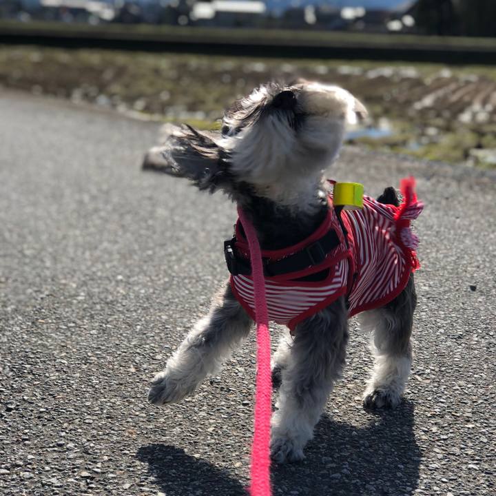 C853fb20 a867 49f5 bbb4 2979b159ed3e 1521855352256