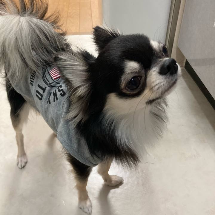 C8540107 898c 4131 b7b0 6b505a88986b 1612707283224