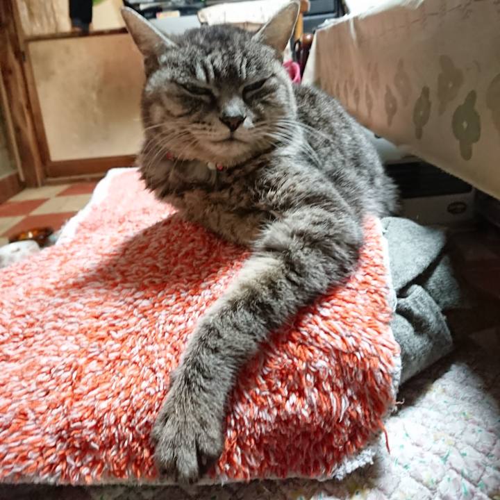 C85415ad a0ee 4068 8075 d16e838df250 1582026510343