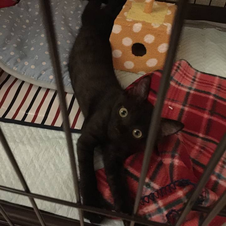 C8541a97 d183 4fd8 ad0a e2bee56b90fe 1619047429812