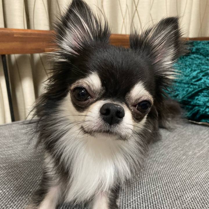 C8548951 e26a 49a1 a9af ffee782bc126 1636206379879