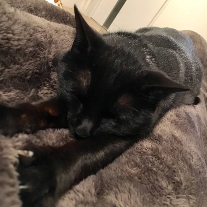 C8549565 9eaf 42d2 bed3 eee4488f8d0e 1553517640082