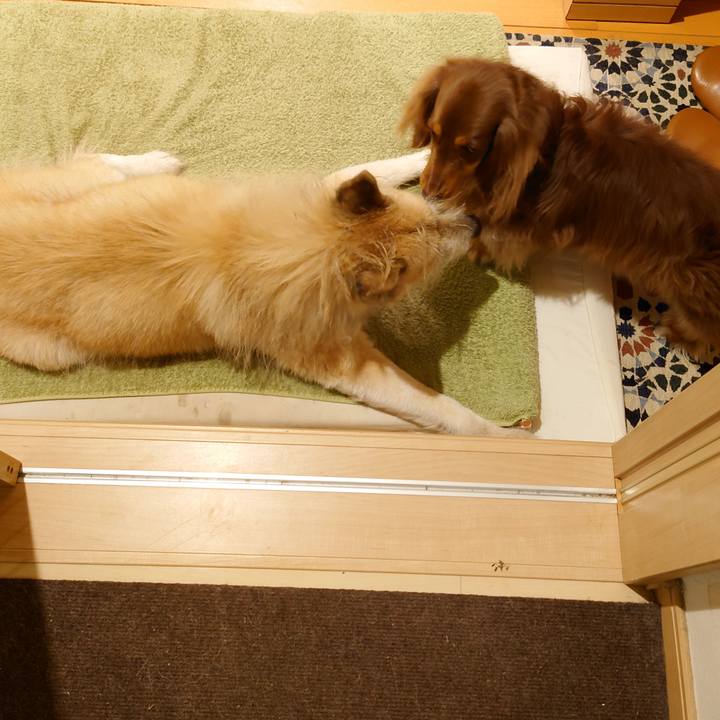 C85497ea 7277 46ce 9ef8 d2ae4a1244c5 1612104194182