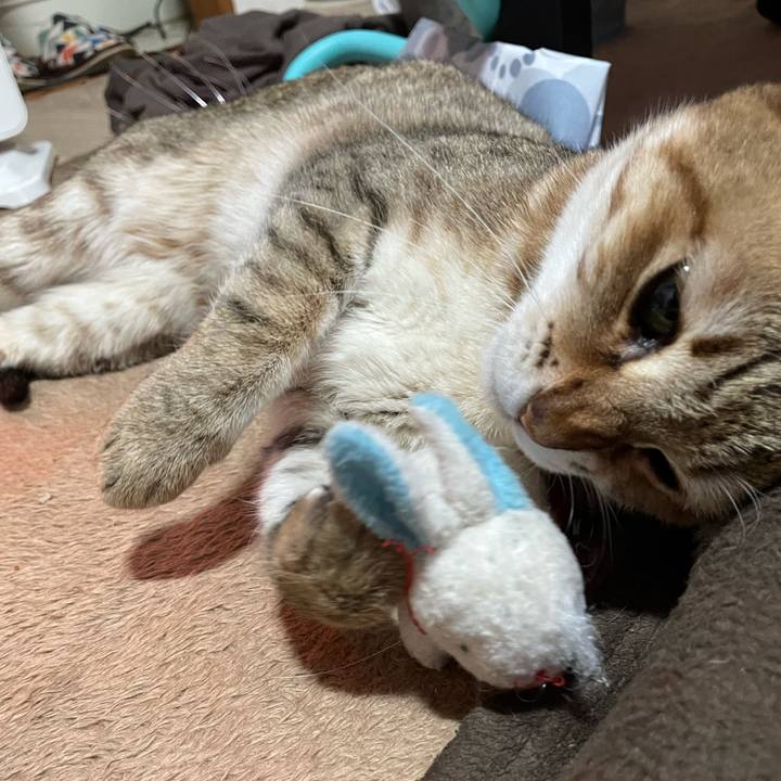 C854bf79 744b 4d6b b1c5 6d6e44c63a55 1676553119886