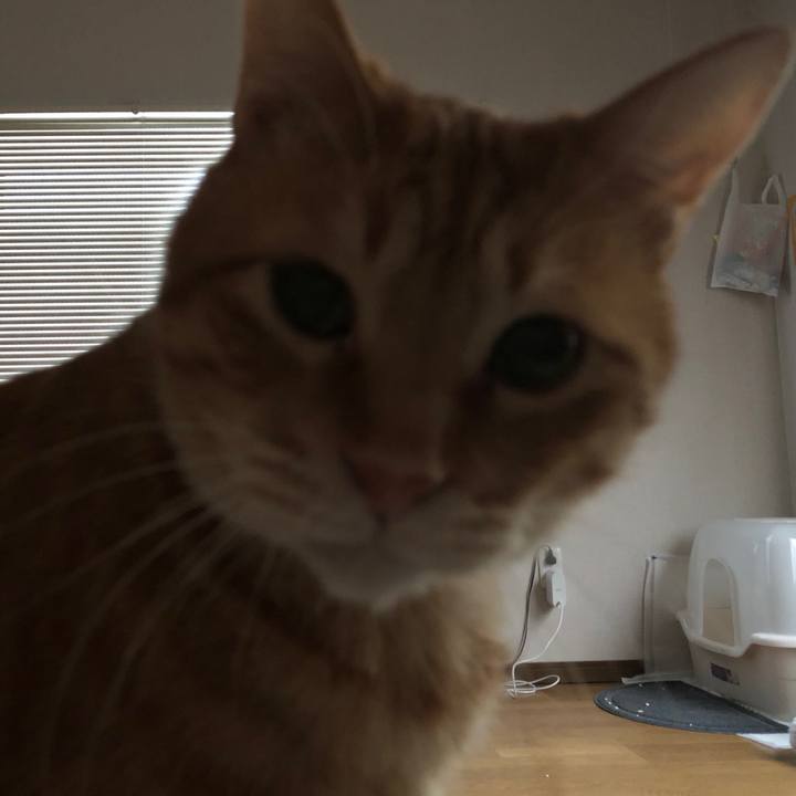 C854e388 303a 4660 85c6 b0cae7ddde6b 1582505363324