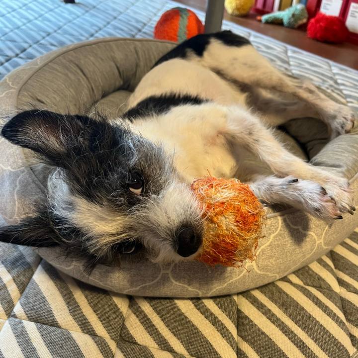 C854f5f4 173b 46ae be8d 40e88812db5c 1755316818309