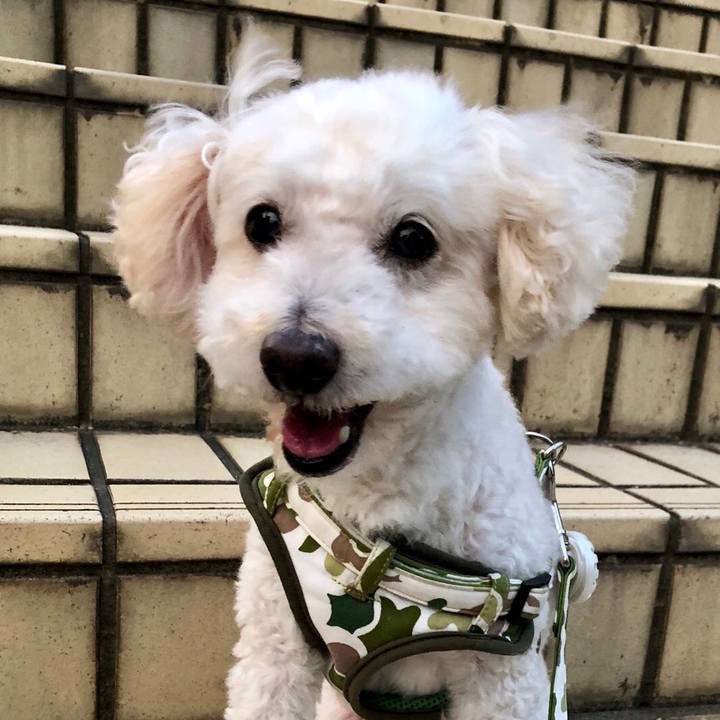 C8550ee6 3719 4839 8069 79c86e7df5e5 1531646801824