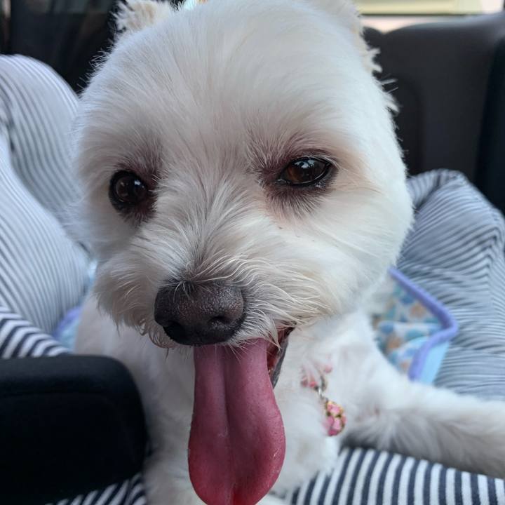 C8554547 d077 4248 aa02 bcec5aa9da22 1626326062234