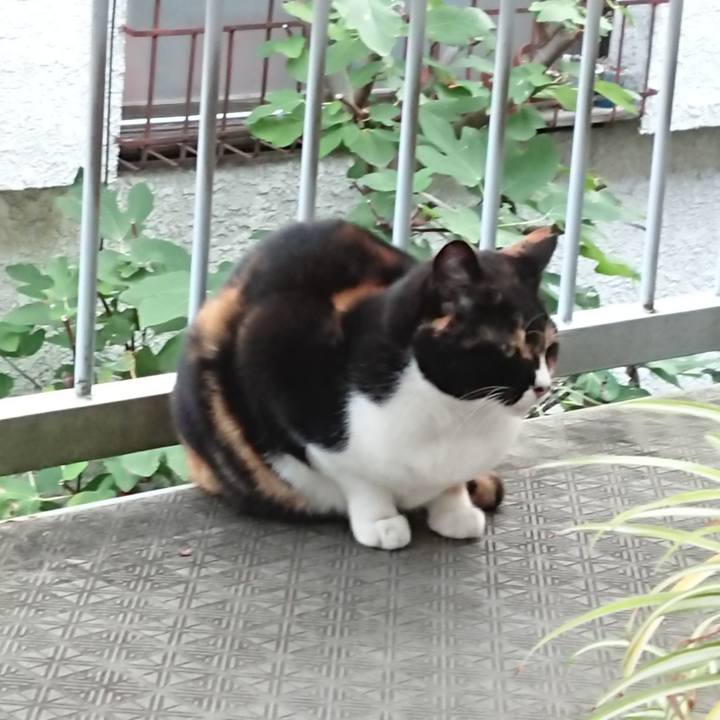 C8555654 073e 41ee 87cd d8f28bba74e5 1603322553226