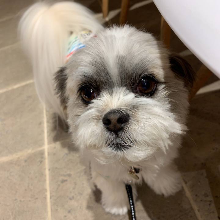 C8558d47 d710 4574 84d4 5403c9addf2a 1553568276288