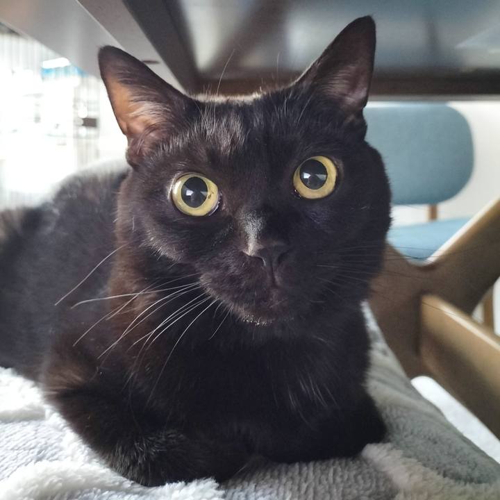 C8559373 8aab 449b 9ec8 84ab62ae0079 1706135227451