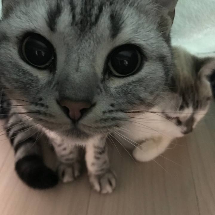 C8559b84 65f4 410b 8d0a 7cb065248a96 1513680958377