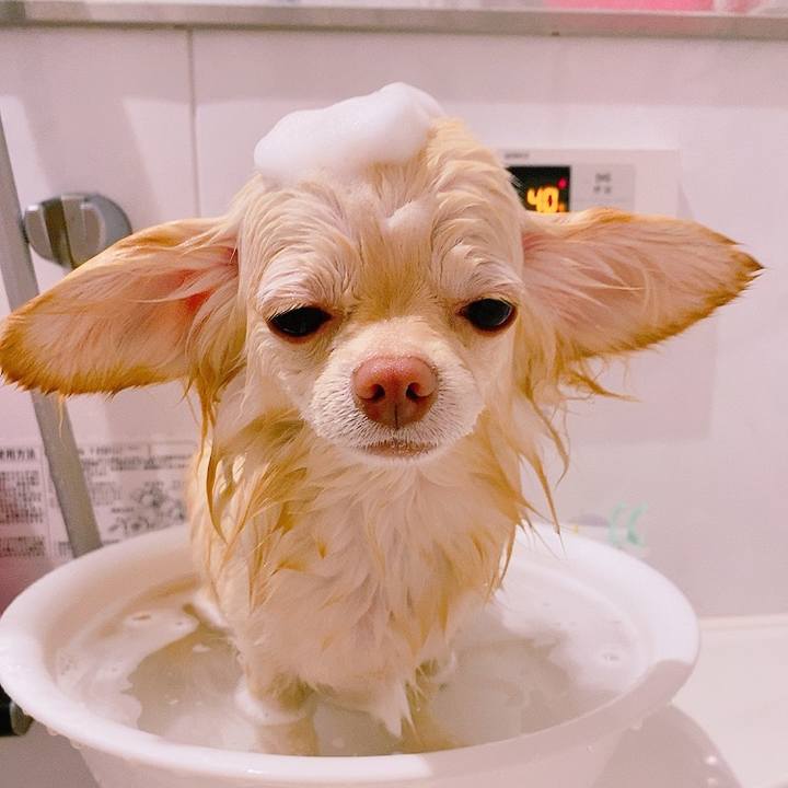 C855b12f 9ca4 41a0 906d 18836dd87de7 1624861965163